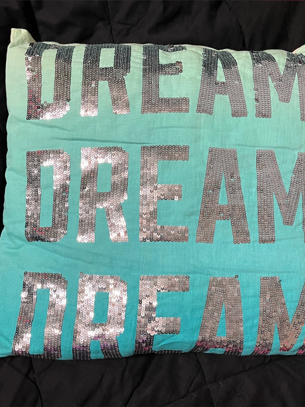 Hard to find Pink Victorias Secret Aqua Sequin 'DREAM' Accent Pillow